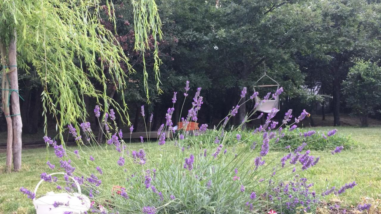 Vieniacasaccadia Bed & Breakfast Eksteriør bilde
